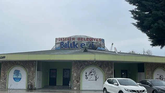 Baca Yangını Söndürüldü