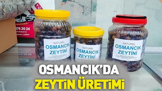Osmancık'da zeytin üretimi