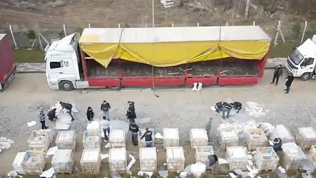 'NARKOGÜÇ-40' Operasyonu dudak uçuklattı