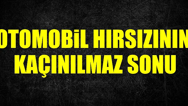 Otomobil Hırsızının Kaçınılmaz Sonu
