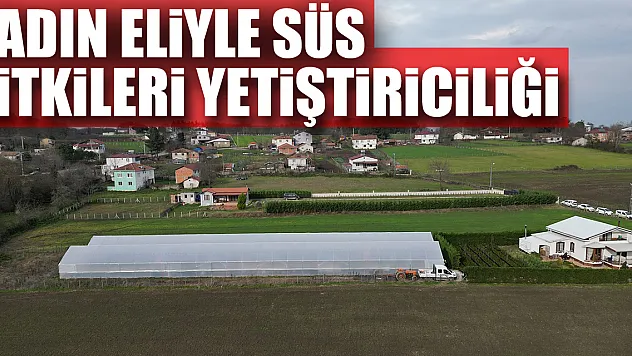 Kadın Eliyle Süs Bitkileri Yetiştiriciliği