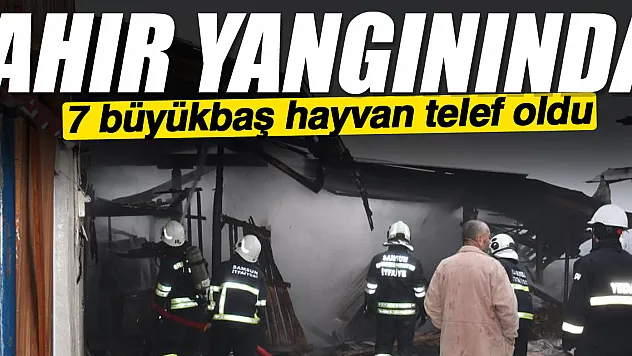 Samsun'da ahır yangını