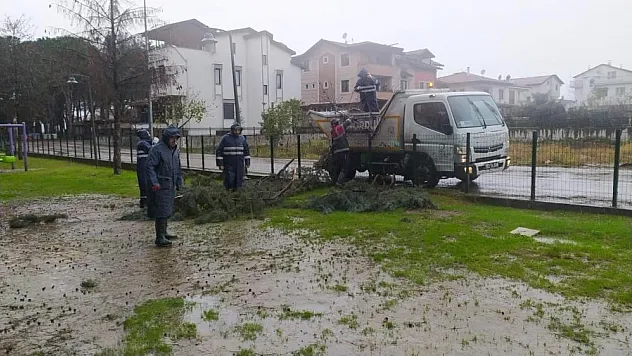 Ordu'da çatılar uçtu