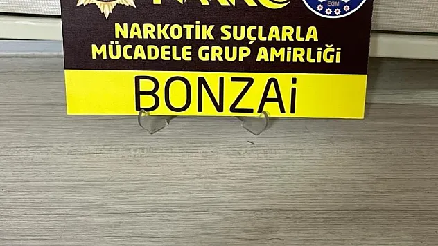 2 şüpheli gözaltına alındı
