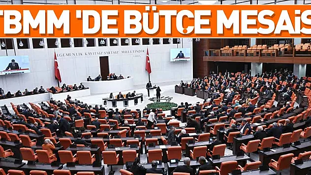 TBMM 'de bütçe mesaisi