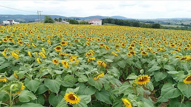 120 bin dekar arazi tarıma kazandırıldı