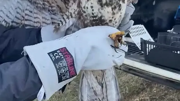 Kartal Depresyondan Çıktı