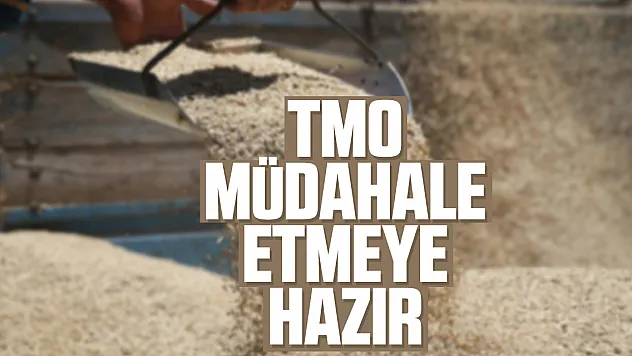 TMO, müdahale etmeye hazır