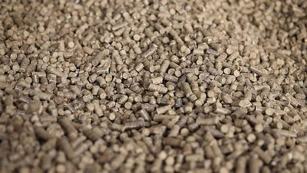 Peletle İhracata Başladı