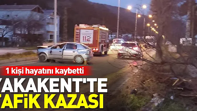 TRAFİK KAZASINDA 1 KİŞİ ÖLDÜ
