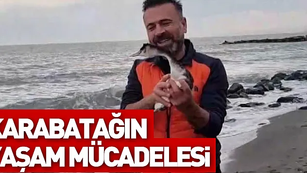 KARABATAĞIN YAŞAM MÜCADELESİ