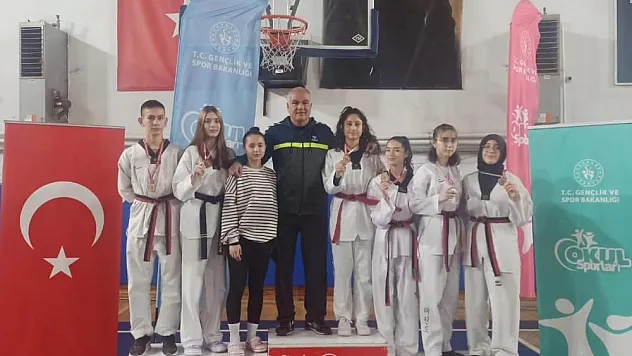 Taekwondo'da Gururlandırdılar