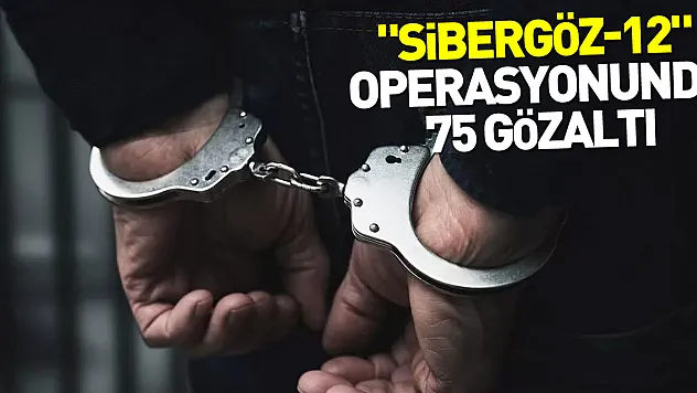 'Sibergöz-12' operasyonlarında 75 gözaltı