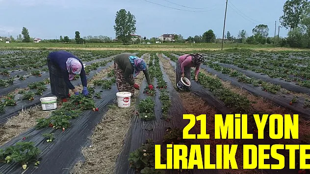 21 Milyon Liralık Destek