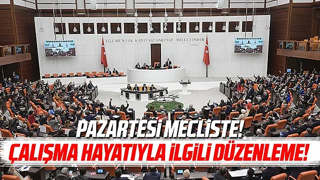 Çalışma hayatıyla ilgili kanun teklifi pazartesi Meclis'e sunulacak