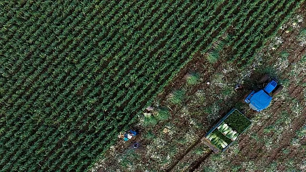 Tarım sektöründe 2023 rekoru