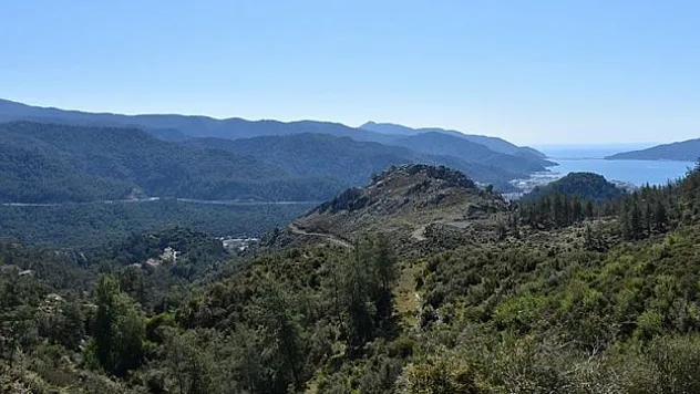 Ziyaretçi sayısı 12 katına çıktı