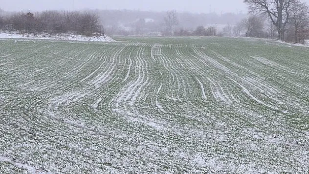 Edirne'de kar buğday üreticilerini sevindirdi