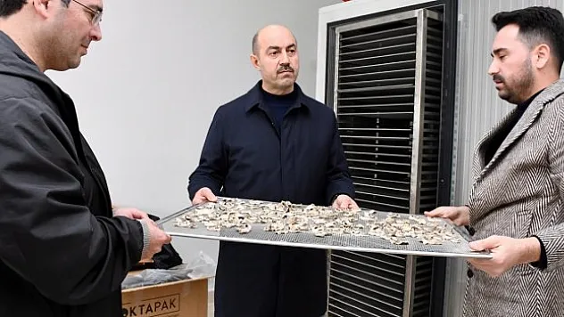 'Tesisimiz faaliyete başladı'