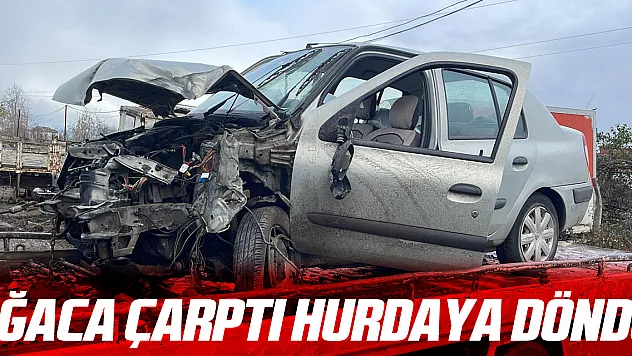 Ağaca çarptı Hurdaya döndü