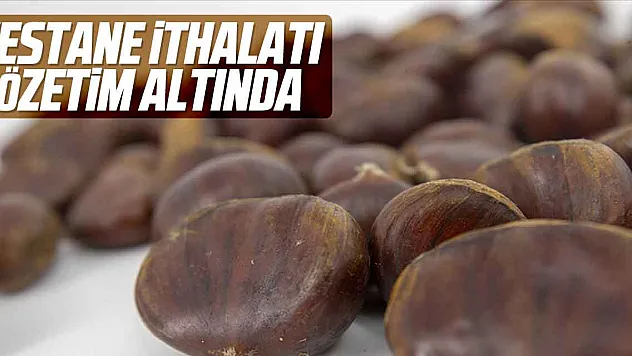 Kestane ithalatı gözetim altında