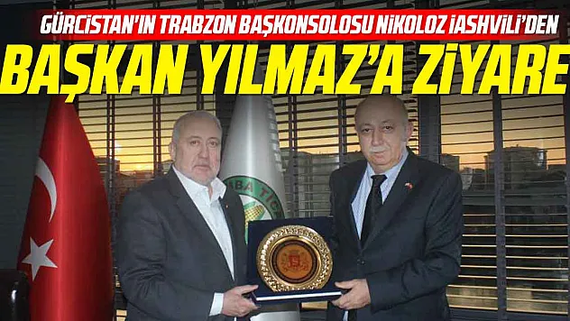 Nikoloz İashvili'den Başkan Yılmaz'a ziyaret
