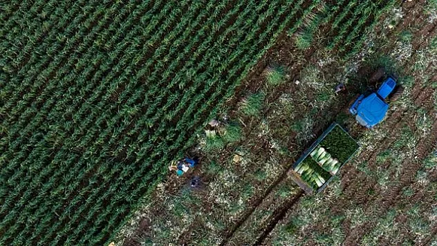 Çiftçilere yaklaşık 9,4 milyar lira destekleme ödemesi yapılacak