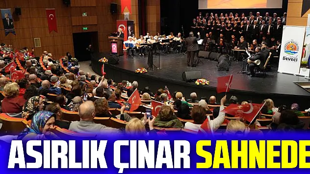 Asırlık çınar sahnede