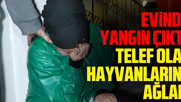 Evinde Yangın Çıktı, Telef Olan Hayvanlarına Ağladı