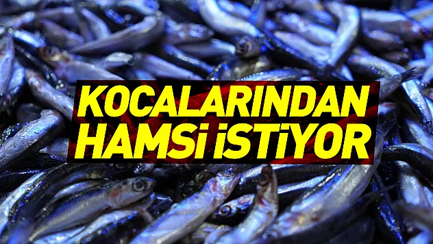 Kocalarından Hamsi İstiyor