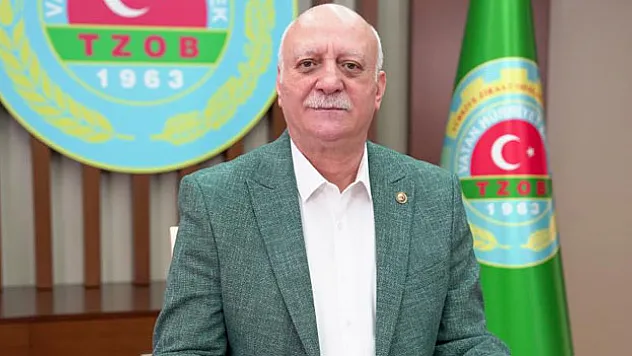 MARKETTE YEŞİL FASULYENİN FİYATI ARTTI