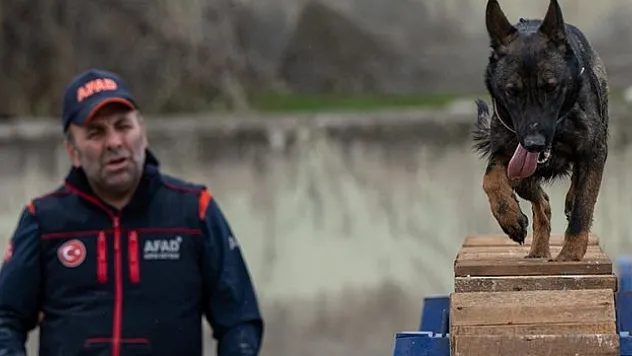 'Hassas burunlar' zorlu eğitimlerle afetlere hazırlanıyor