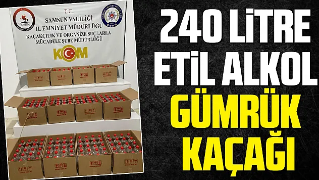240 Litre etil alkol gümrük kaçağı