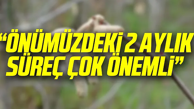 'Önümüzdeki 2 aylık süreç çok önemli'