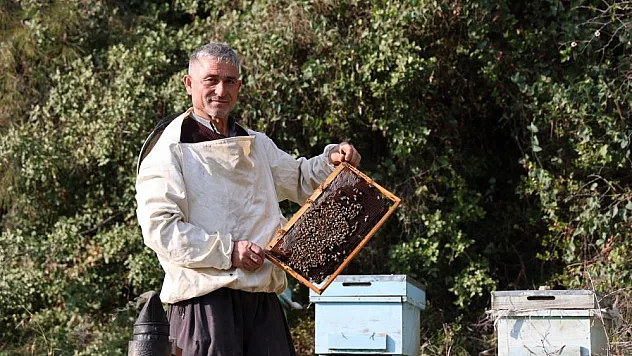 ARILAR KIŞ UYKUSUNA YATMADI