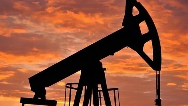 OPEC'in petrol üretimi ocakta azaldı