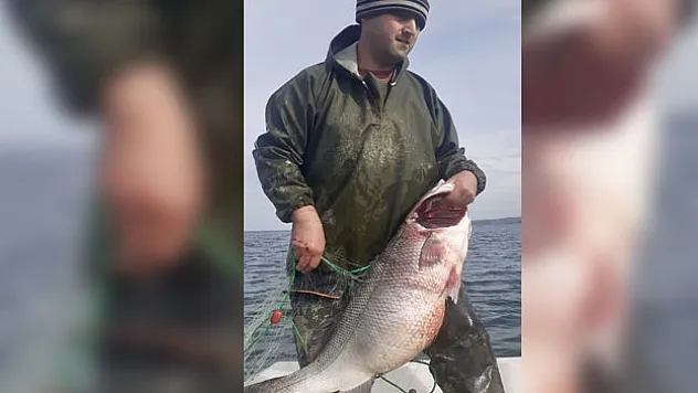 BALIKÇI AĞINA 15 KİLOGRAMLIK LEVREK TAKILDI