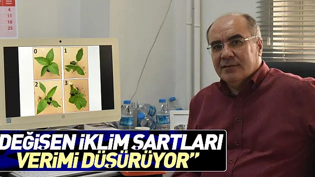 'DEĞİŞEN İKLİM ŞARTLARI VERİMİ DÜŞÜRÜYOR'