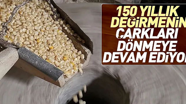 150 YILLIK SU DEĞİRMENİ