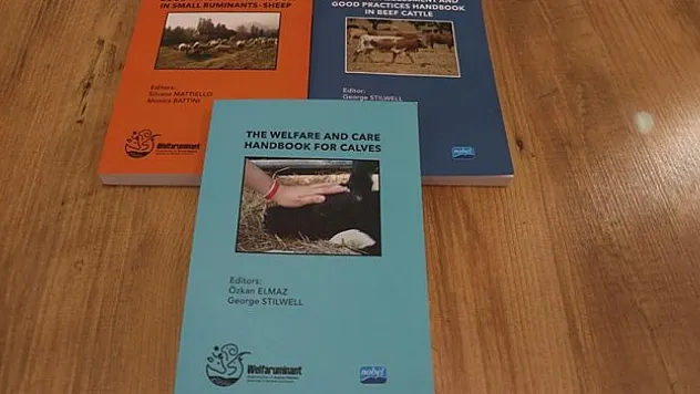 Eğitici Kitaplar Hazırlandı