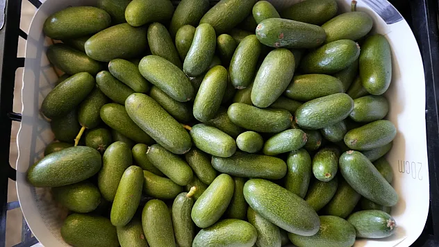 Rusya pazarında kilogramı 5 dolardan yok satıyor