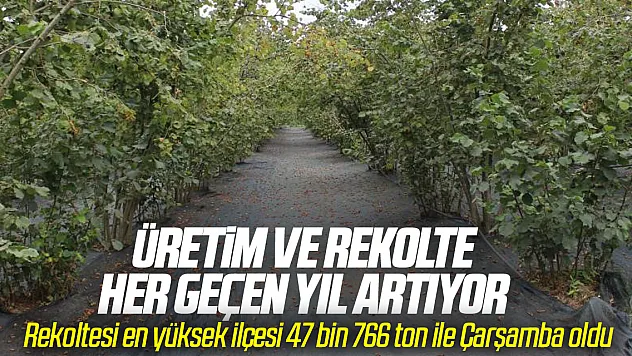 Üretim ve Rekolte Her Geçen Yıl Artıyor