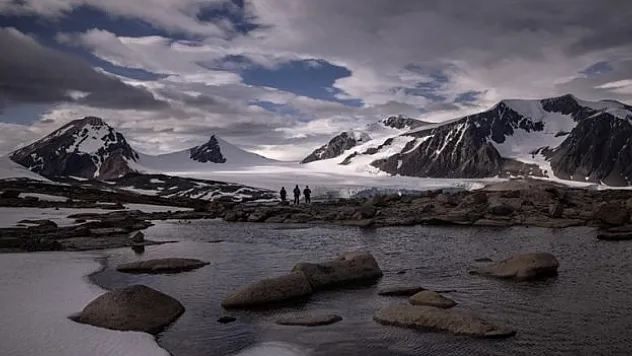 Bakteriler, ticarete dönüyor