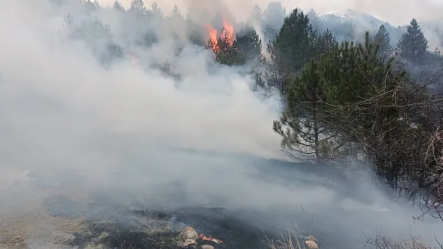Örtü yangını söndürüldü