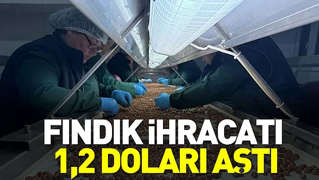 FINDIK İHRACATI 1,2 DOLARI AŞTI