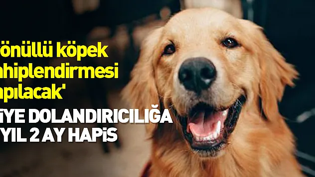 DOLANDIRICILIĞA 4 YIL HAPİS