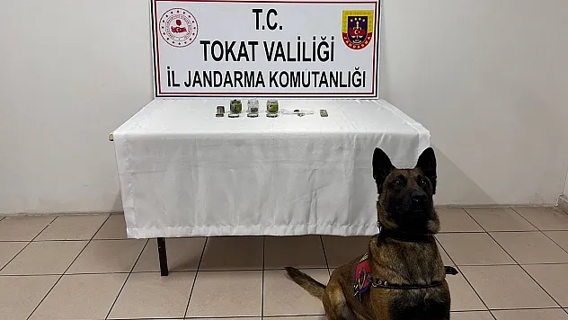 TARİHİ ESER OPERASYONUNDA 8 GÖZALTI