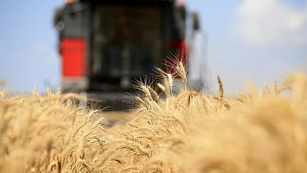 FAO: Küresel gıda fiyatları düşmeye devam ediyor