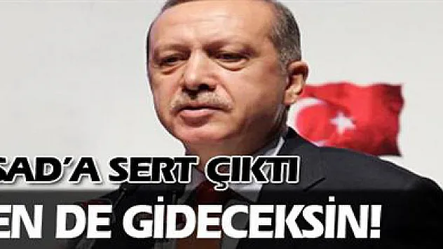 Erdoğan: Sen de gideceksin