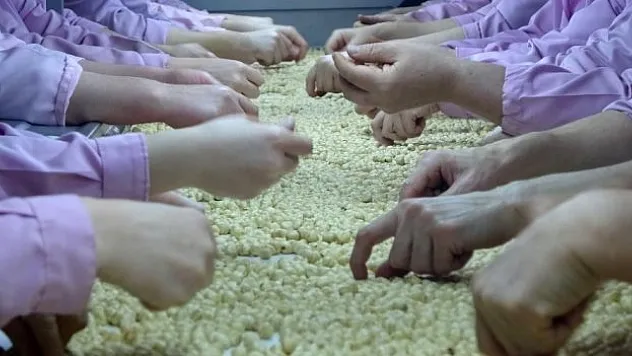 AB ülkelerine yaklaşık 3 bin tonluk ihracat